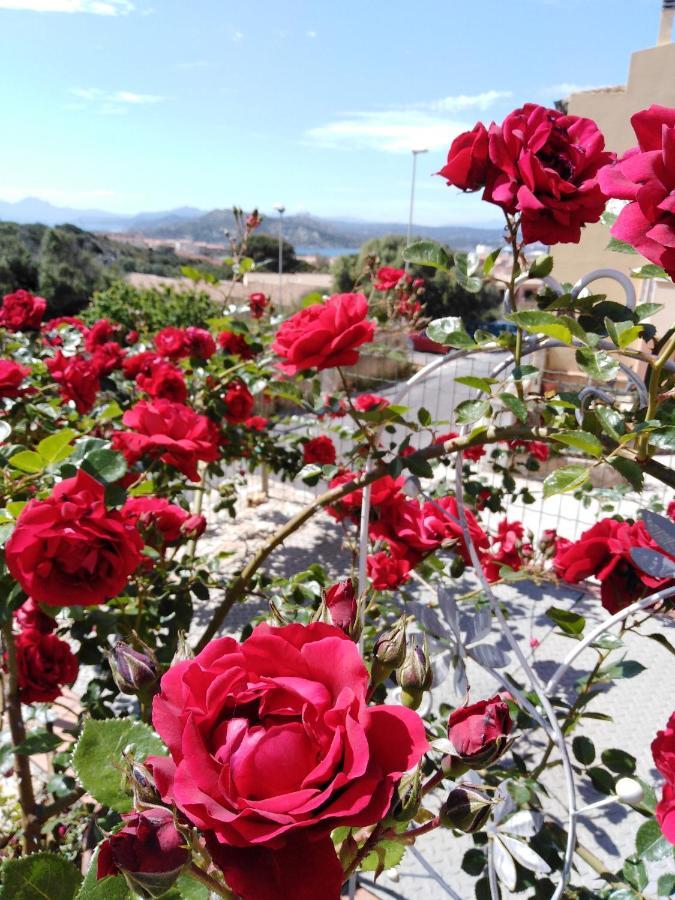 The Roses Garden Bed and Breakfast La Maddalena  Eksteriør billede