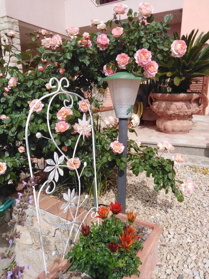 The Roses Garden Bed and Breakfast La Maddalena  Eksteriør billede
