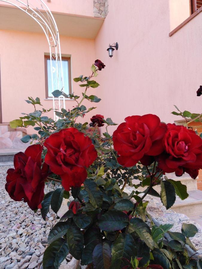 The Roses Garden Bed and Breakfast La Maddalena  Eksteriør billede